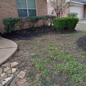 Cleanups by DMD LAWN SVC reviewed on June 5, 2025