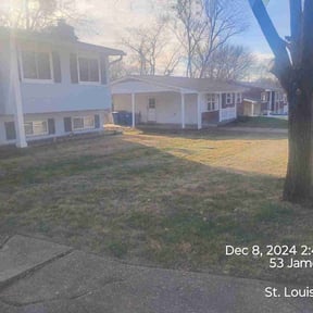 Leaf Removal by The Lawn Cypress reviewed on April 21, 2022
