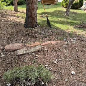 Leaf Removal by Da Munchez/ High 5 landscaping reviewed on June 29, 2022