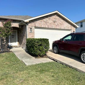 Bush Trimming by Texas 4 Seasons reviewed on August 24, 2024