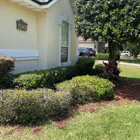 Bush Trimming by Primos  Grow&amp;Mow reviewed on September 22, 2024