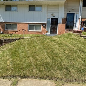Leaf Removal by G&M Landscaping Services reviewed on March 18, 2025