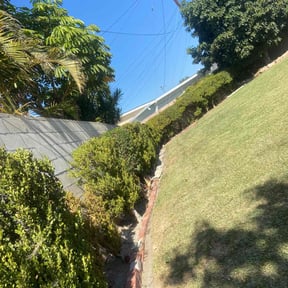 Bush Trimming by Enclave Landscape Management reviewed on April 17, 2022