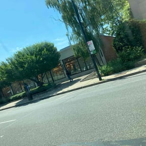 Leaf Removal by BBA reviewed on July 11, 2022