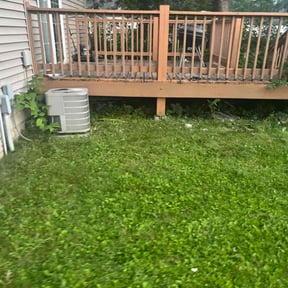 Bush Trimming by Affordable Property Maintenance and Landscaping reviewed on May 21, 2025