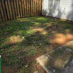 Cleanups by Green T's Lawn & Landscape reviewed on May 22, 2025