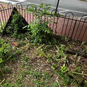 Flower Bed Weeding by NRB Landscape Services reviewed on July 31, 2024