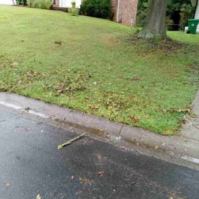 Cleanups by Court Landscaping reviewed on March 12, 2025