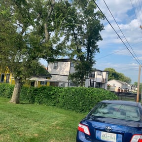 Bush Trimming by Three brothers lawn care reviewed on August 24, 2024