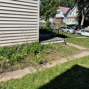 Bush Trimming by GB lawn service reviewed on May 11, 2022