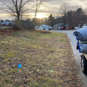 Cleanups by Arroyo Lawn Service reviewed on May 23, 2022