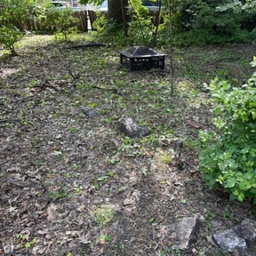 Flower Bed Weeding by EECO SERVICES LLC reviewed on April 29, 2021