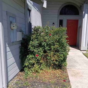 Bush Trimming by RJ's Lawn Care reviewed on April 3, 2022