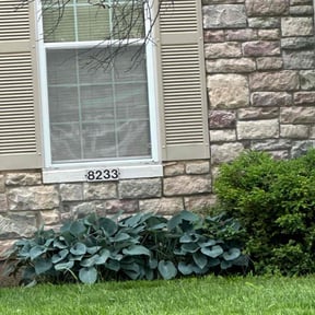 Flower Bed Weeding by Dem Boyz N Girlz Lawn Services reviewed on May 30, 2025