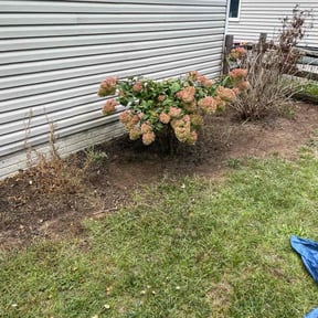 Flower Bed Weeding by Can’t Stop Won’t Stop Lawn Care reviewed on July 6, 2025