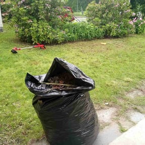 Leaf Removal by Precision Lawn Care of VA reviewed on July 28, 2022