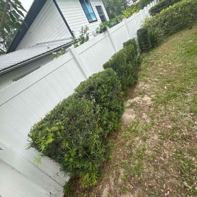 Bush Trimming by Anton Lawn Care reviewed on October 8, 2021