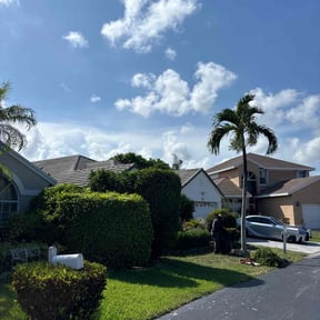 Bush Trimming by Mondragon landscaping reviewed on April 2, 2023