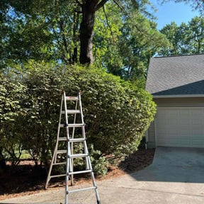 Bush Trimming by Golden Acres Lawn Care reviewed on March 18, 2022