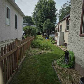Bush Trimming by Dave's handyman services reviewed on May 17, 2023