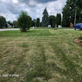 Leaf Removal by GreenLand Landscaping LLC reviewed on June 27, 2022