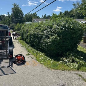 Bush Trimming by Alux rental’s LLC reviewed on July 17, 2022