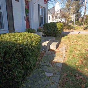 Bush Trimming by SRC Lawn Care reviewed on July 15, 2022