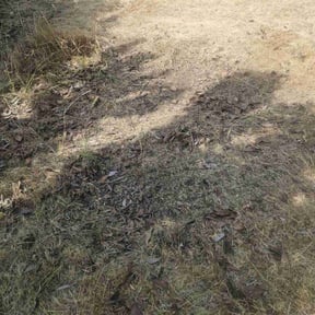 Cleanups by Roberto Pena reviewed on August 3, 2022