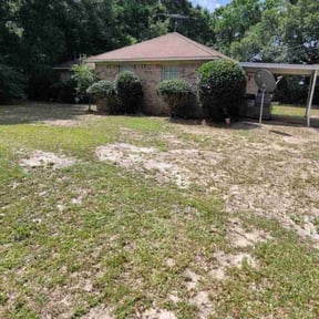 Bush Trimming by Unlimited Lawn Care reviewed on May 17, 2022