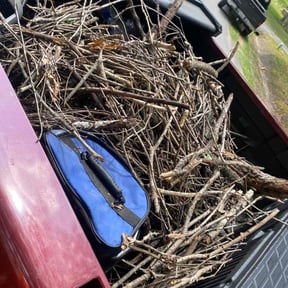 Cleanups by Elegant Lawn Care reviewed on June 25, 2022