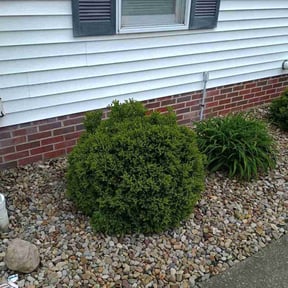 Flower Bed Weeding by K & J Removal and Lawn Care reviewed on June 29, 2022