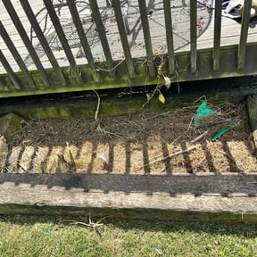 Flower Bed Weeding by Dominic's Lawncare LLC reviewed on July 11, 2025