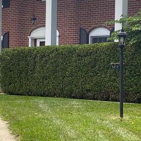 Bush Trimming by To The Rescue Landscaping and Hurricane Clean Up reviewed on March 18, 2022