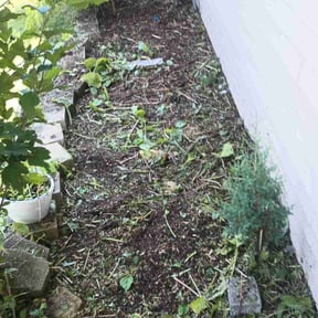 Flower Bed Weeding by Jackson Enterprise Group, LLC reviewed on September 16, 2021