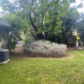 Bush Trimming by Smiley's Landscaping LLC reviewed on August 11, 2025