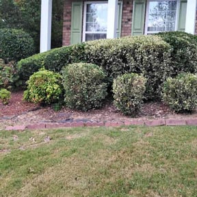 Flower Bed Weeding by A&A Lawn Authority reviewed on September 14, 2020