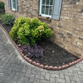 Weeding by Rocco's Lawncare Service reviewed on October 11, 2022