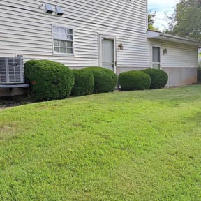 Bush Trimming by Legacy Lawn care reviewed on April 22, 2022