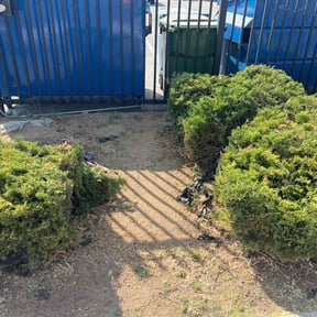 Bush Trimming by Rc lawn care Service reviewed on June 21, 2022