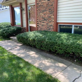 Bush Trimming by Summerall lawn service reviewed on July 25, 2022
