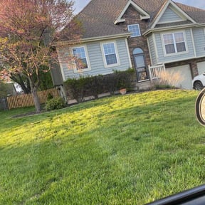 Leaf Removal by Browns and Sons Lawncare reviewed on June 6, 2022