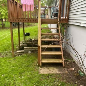 Leaf Removal by Simon Diamond reviewed on June 22, 2022