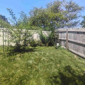 Cleanups by Lawn and Labor Services reviewed on July 31, 2022