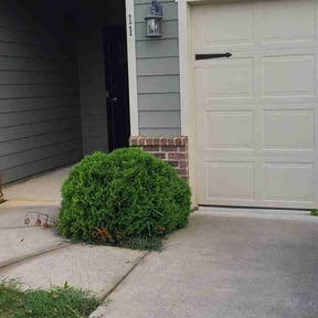 Bush Trimming by Hammond lawncare reviewed on October 18, 2022