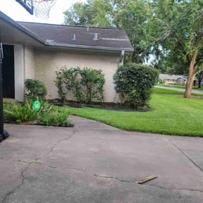 Bush Trimming by We Cutt Dat Lawn Care reviewed on August 15, 2024