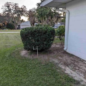 Bush Trimming by Leon&#039;s Lawns &amp; Home Improvements reviewed on July 18, 2025