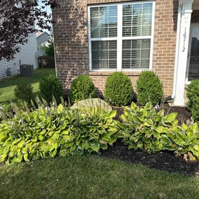 Flower Bed Weeding by AG Lawn & Services reviewed on May 9, 2025