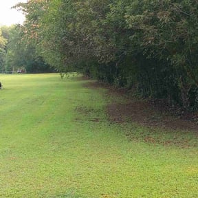 Weed Pulling by Ride In Shine Out reviewed on December 13, 2024