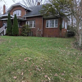 Leaf Removal by Cronley Landscaping reviewed on July 5, 2022