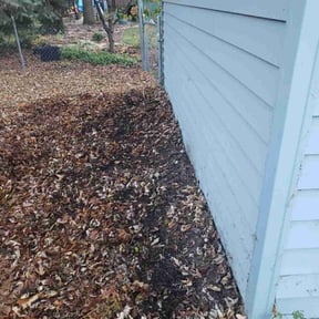 Cleanups by Royal Scenery LLC reviewed on August 5, 2022